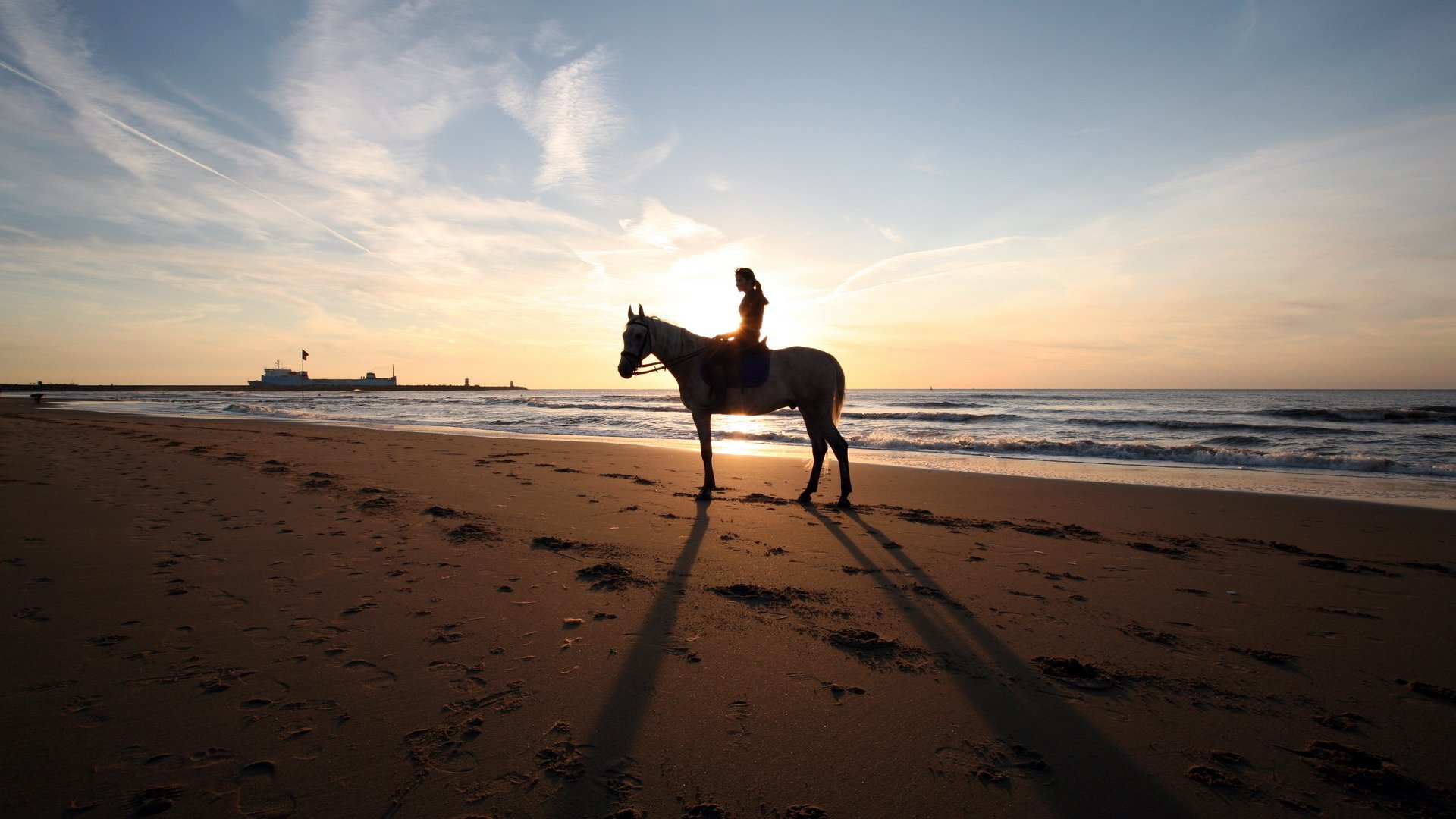 Horse Riding Full HD Wallpaper and Background Image | 1920x1080 | ID:352739