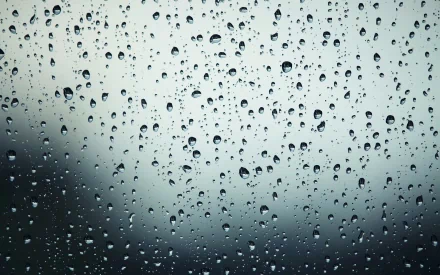 photography raindrops HD Desktop Wallpaper | Background Image