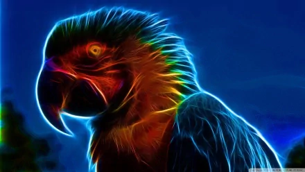 HD PC desktop wallpaper featuring a vibrant, neon-style illustration of a macaw with glowing blue and orange highlights against a deep blue background.