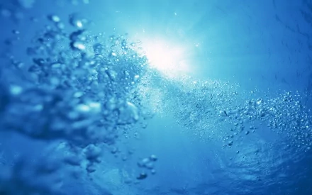 nature underwater HD Desktop Wallpaper | Background Image