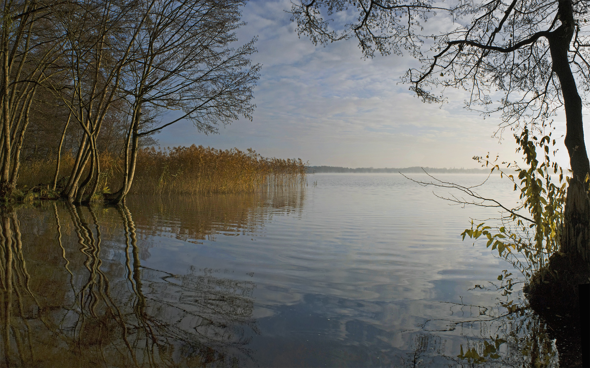 River HD Wallpaper | Background Image | 1920x1200