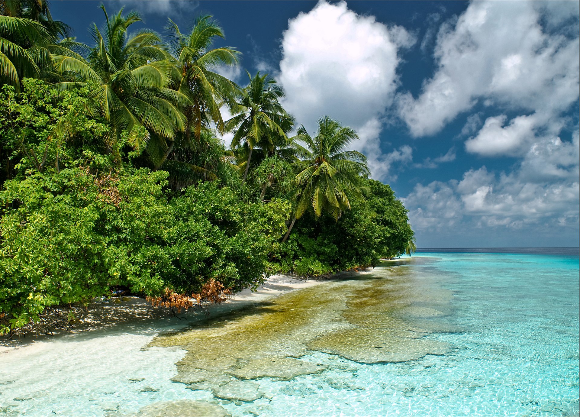 Шри ланка лес. Индийский океан Мальдивы. Индийский океан Атолл Мале. Индийский океан Тайланд. Индийский океан Сейшельские острова.