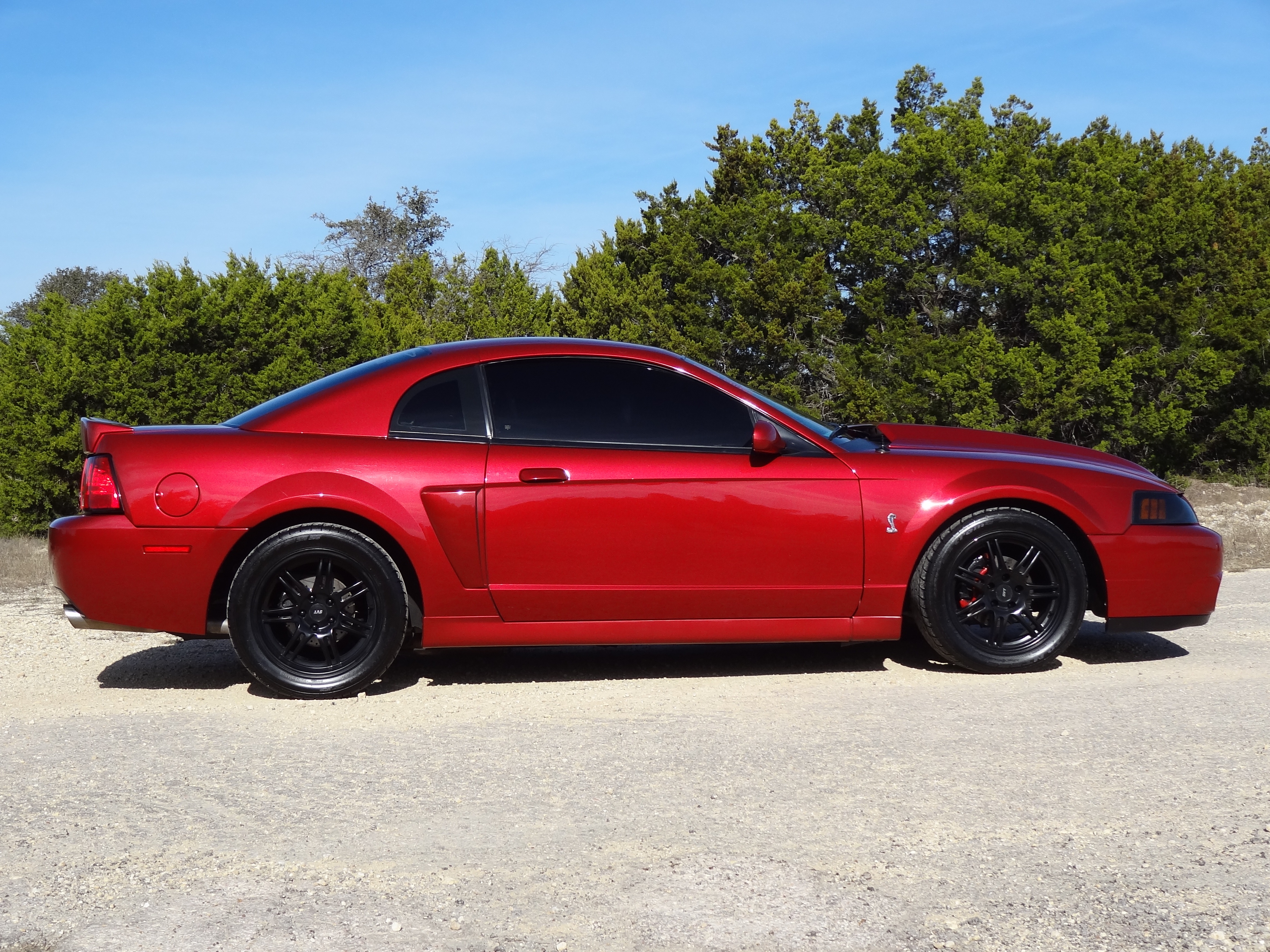 2003 Maroon ford mustang #10