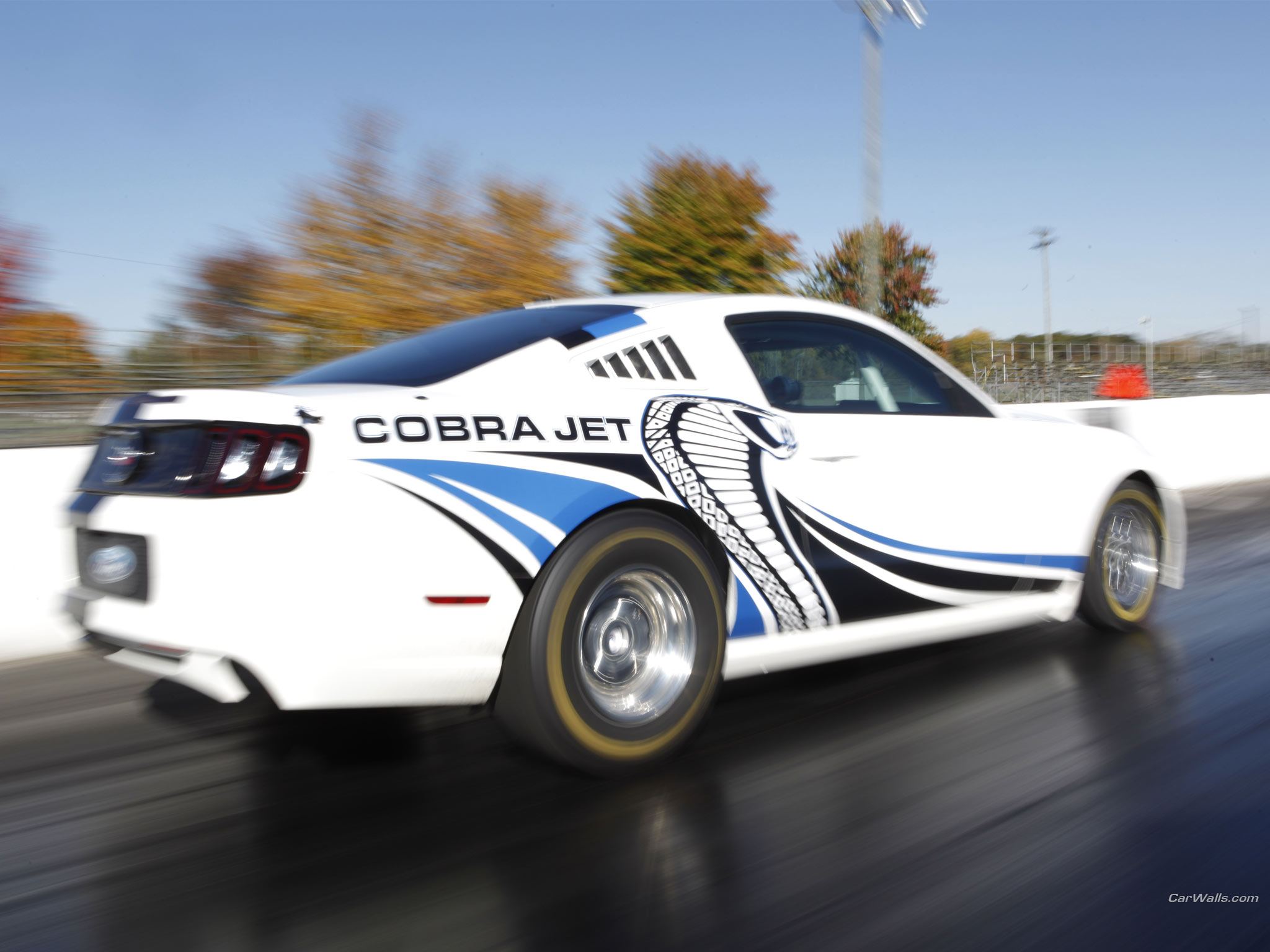 Vehicles 2012 Ford Mustang Cobra Jet Twin Turbo HD Wallpaper | Background Image