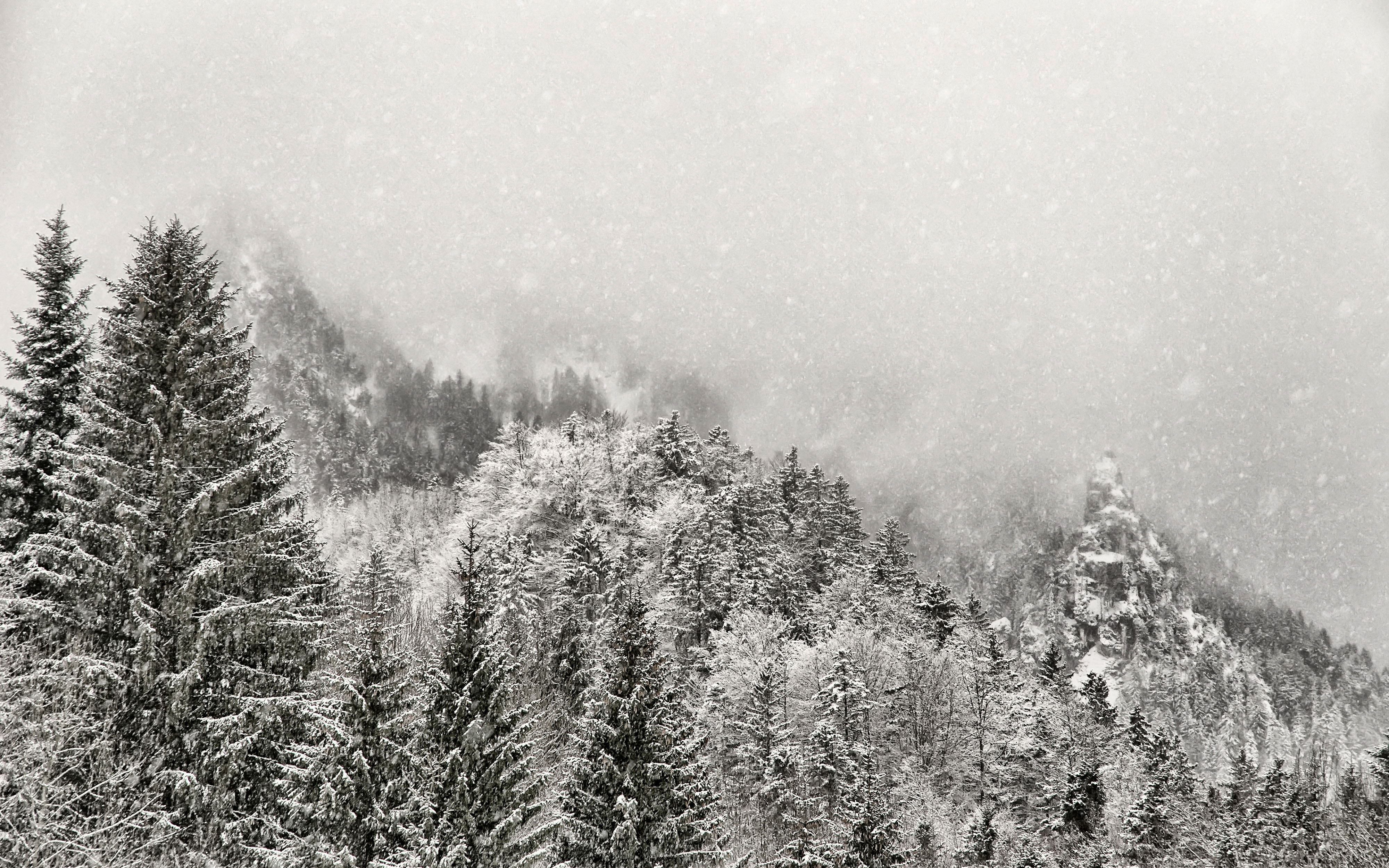 Download Nature Winter 4k Ultra HD Wallpaper