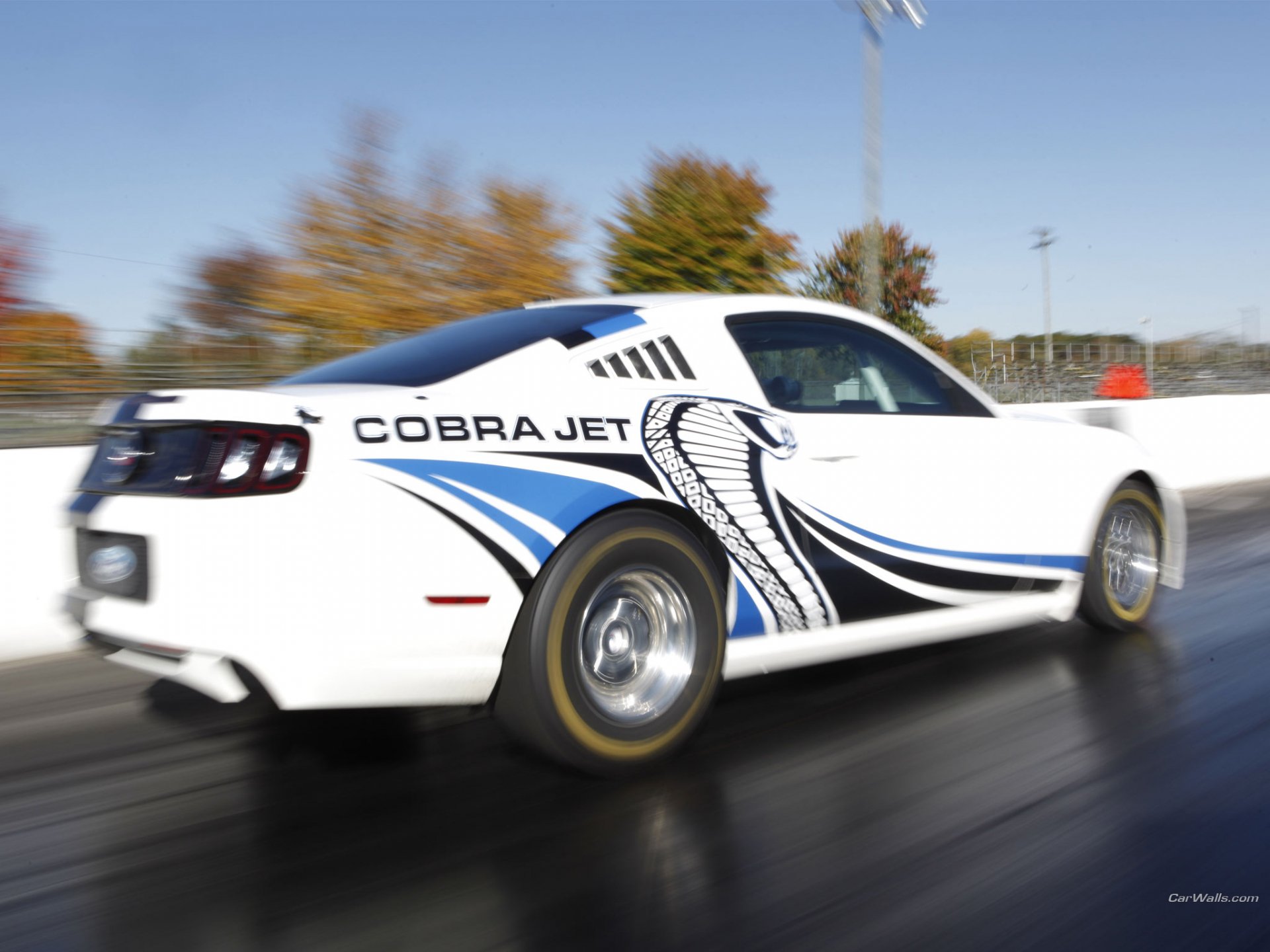 Download Vehicle 2012 Ford Mustang Cobra Jet Twin Turbo HD Wallpaper