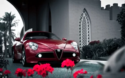 vehicle Alfa Romeo 8C Competizione HD Desktop Wallpaper | Background Image