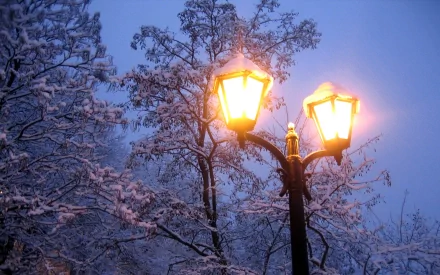 2K Quad HD PC desktop wallpaper: a man-made lamp post glowing warmly amid snow-covered trees at dusk.