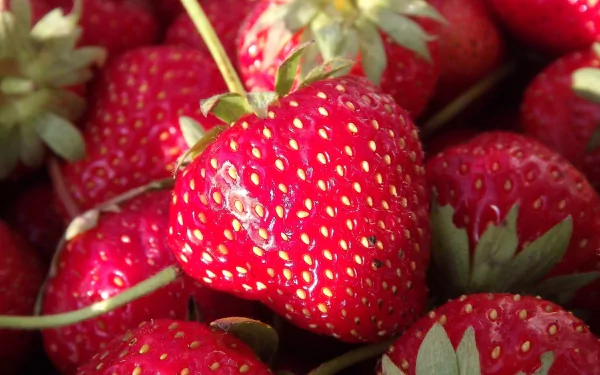 4K Ultra HD PC desktop wallpaper showing a close-up cluster of ripe red strawberries with green leaves.