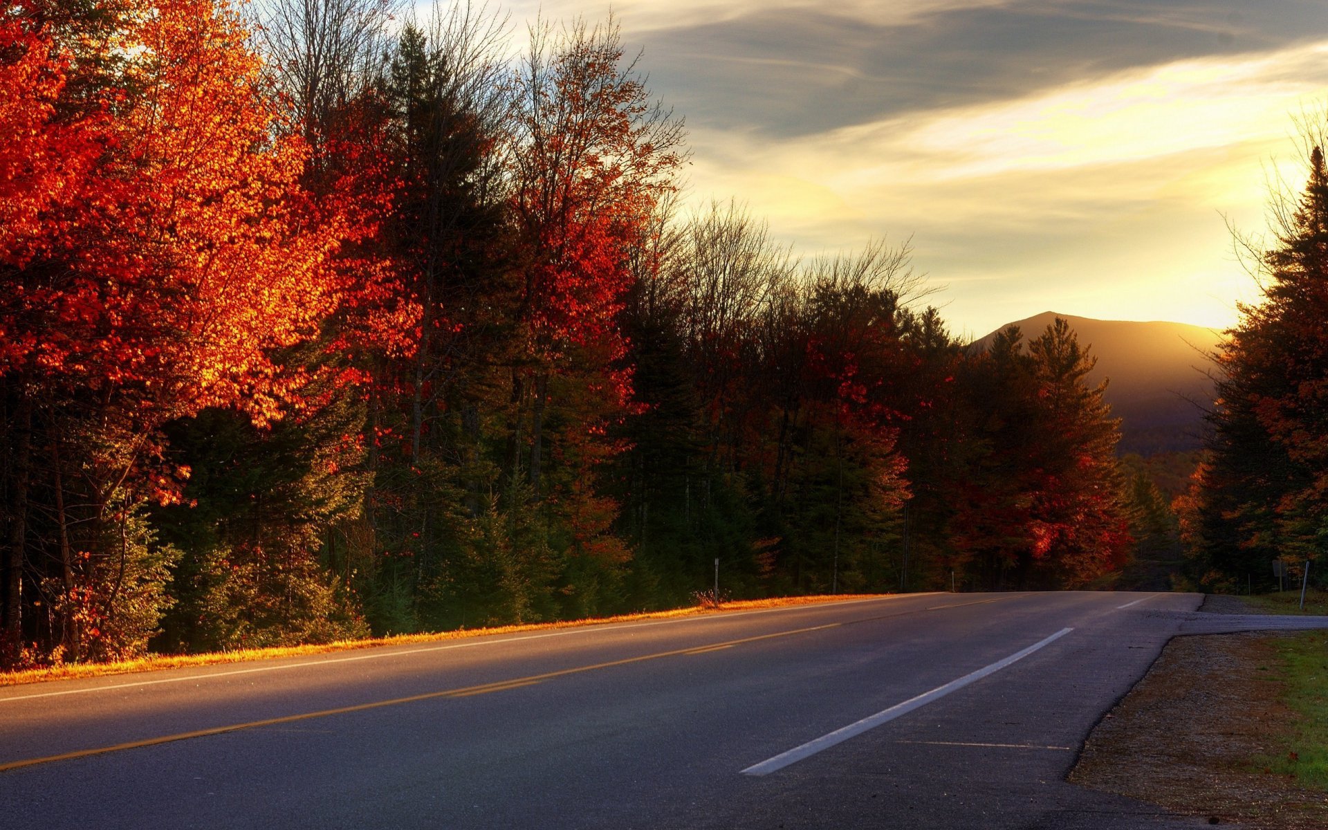 Road HD Wallpaper | Background Image | 2560x1600 | ID:356159