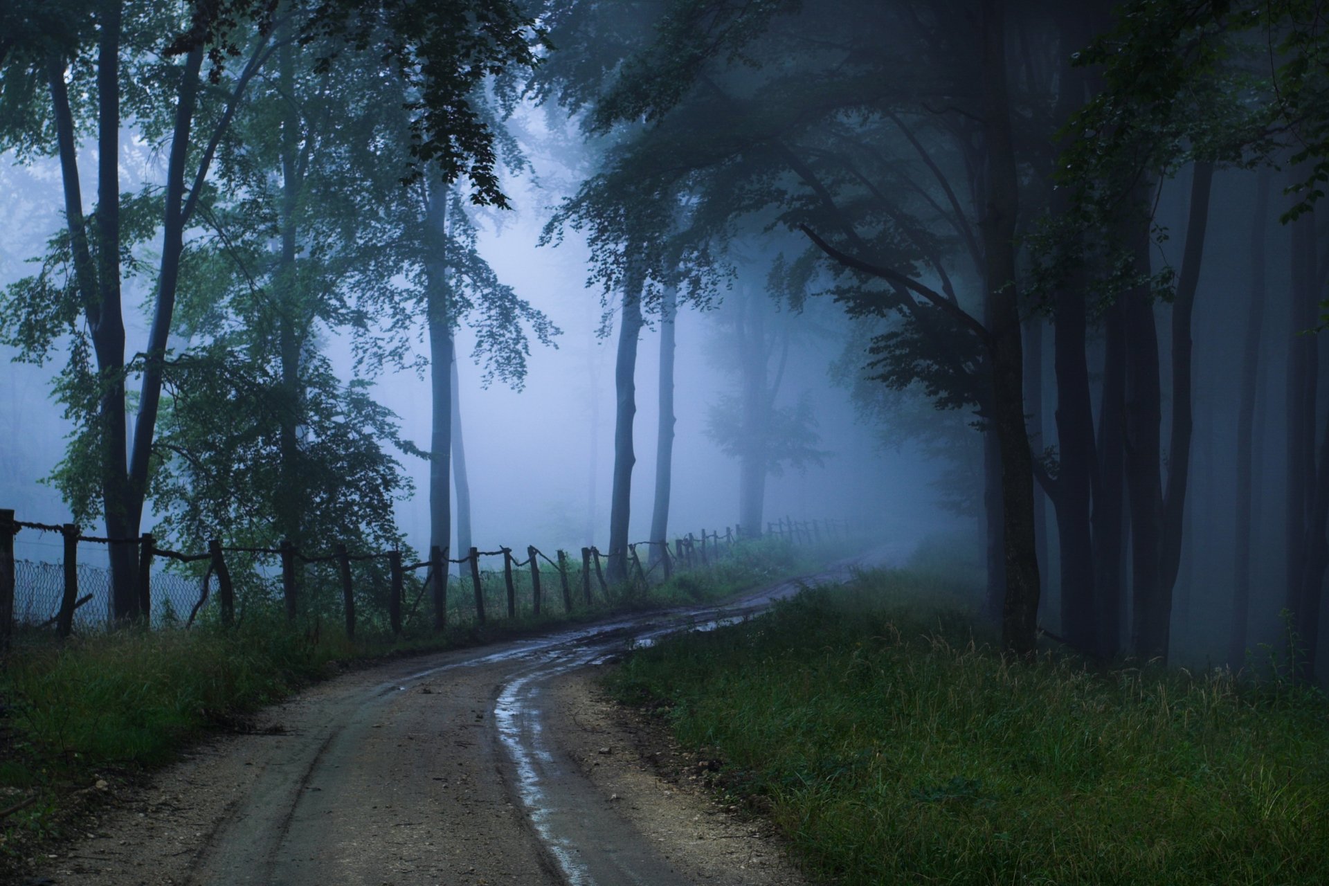 HD PC desktop wallpaper showing a foggy nature scene with a winding dirt path through tall trees and dense mist creating a mysterious atmosphere.
