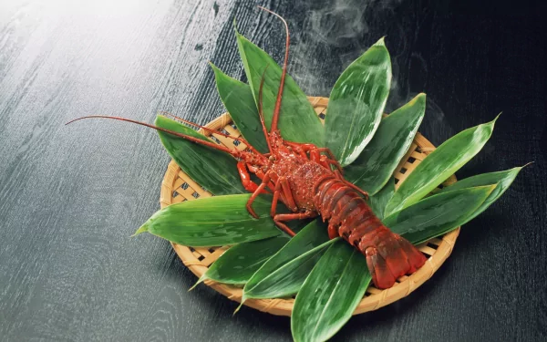 food lobster HD Desktop Wallpaper | Background Image