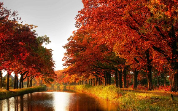Erde/Natur Herbst Fluss Pfad HD Wallpaper | Hintergrund