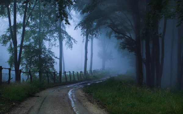HD PC desktop wallpaper showing a foggy nature scene with a winding dirt path through tall trees and dense mist creating a mysterious atmosphere.