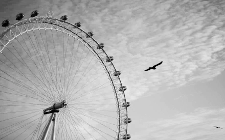 man made ferris wheel HD Desktop Wallpaper | Background Image