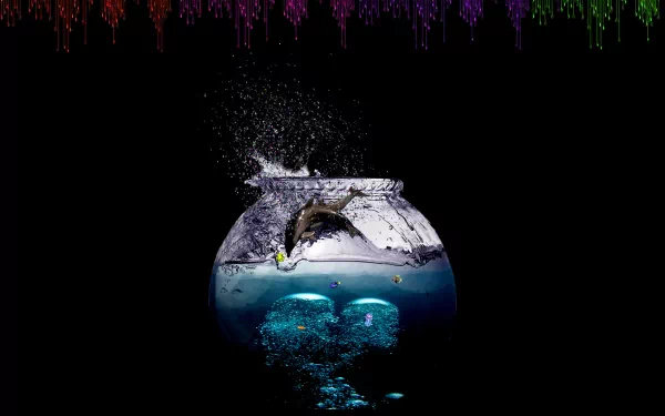 Animal dolphin HD Desktop Wallpaper | Background Image