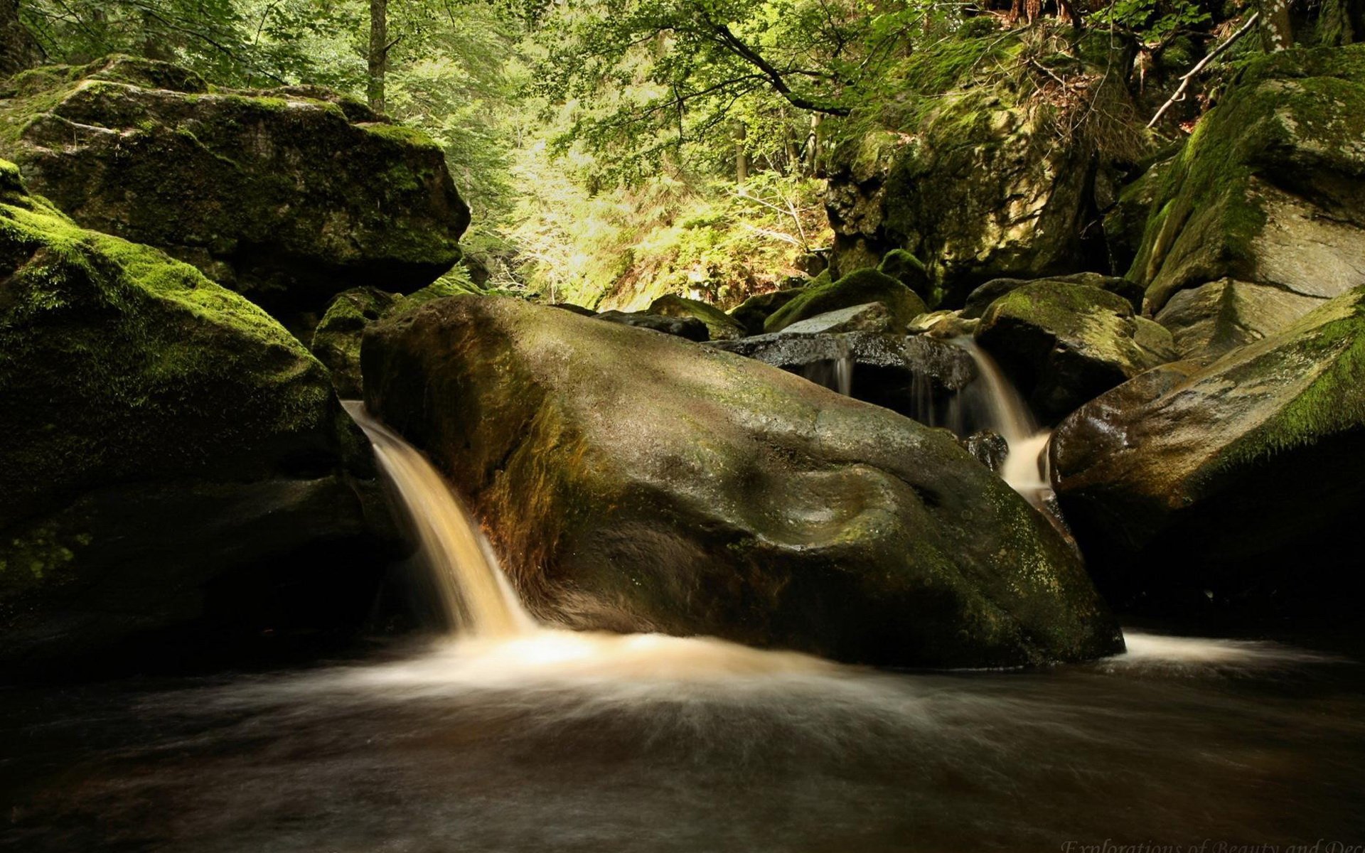 Download Nature Waterfall HD Wallpaper