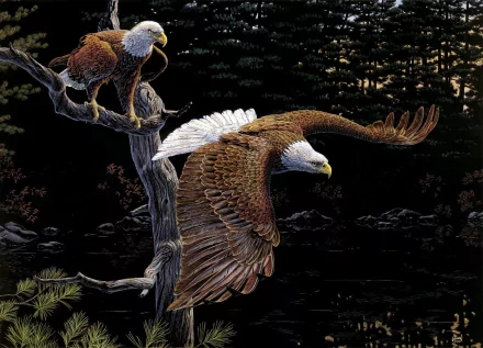 HD desktop wallpaper of two bald eagles; one perched on a tree branch and the other soaring with wings spread wide against a dark forest background.