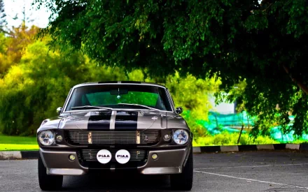 HD desktop wallpaper featuring a sleek Ford Mustang GT500 parked under lush green trees, showcasing the classic muscle car’s front view in vibrant natural light.