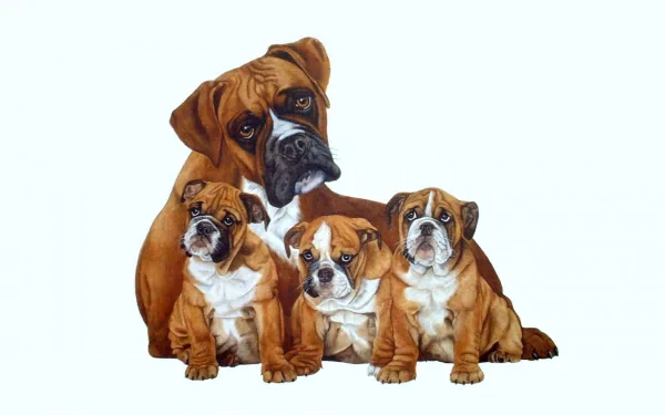 HD desktop wallpaper featuring a detailed illustration of a boxer dog with three boxer puppies against a clean white background.