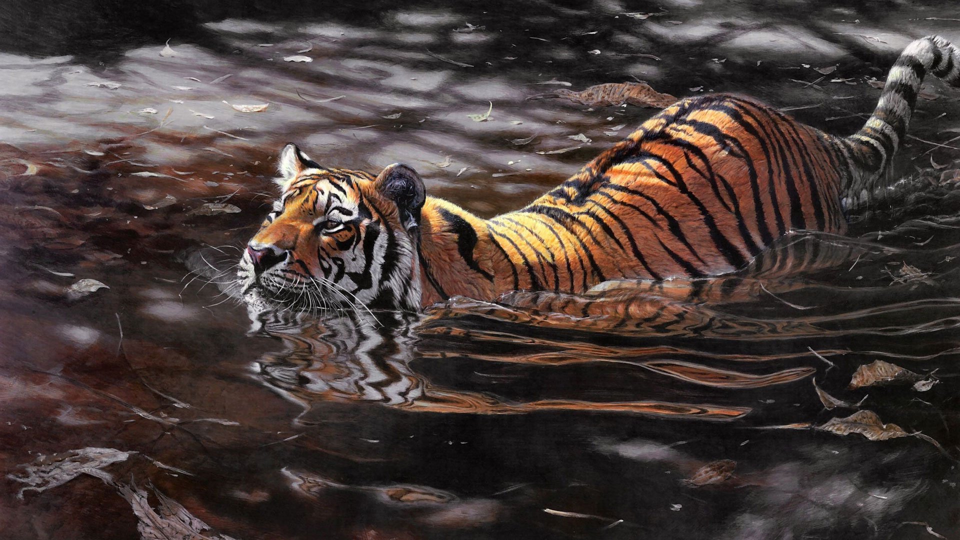 A stunning HD wallpaper featuring a tiger swimming through dark, reflective water, showcasing the animal's striking orange and black stripes in a serene natural setting.