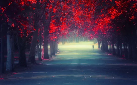 HD desktop wallpaper featuring a serene park path lined with trees showcasing vibrant red foliage under soft sunlight in a peaceful photography scene.
