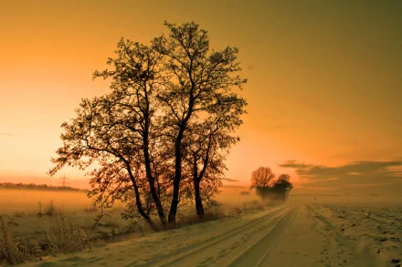 nature winter HD Desktop Wallpaper | Background Image