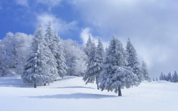 nature winter HD Desktop Wallpaper | Background Image