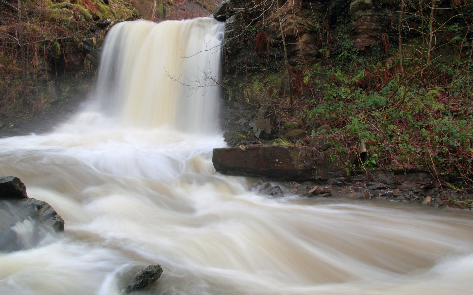 Download Nature Waterfall HD Wallpaper