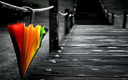 photography umbrella HD Desktop Wallpaper | Background Image