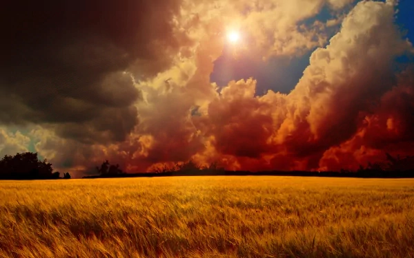A stunning HD desktop wallpaper showcasing a golden wheat field under a dramatic sky, filled with vibrant clouds and radiant sunlight, capturing the beauty of nature's landscape.