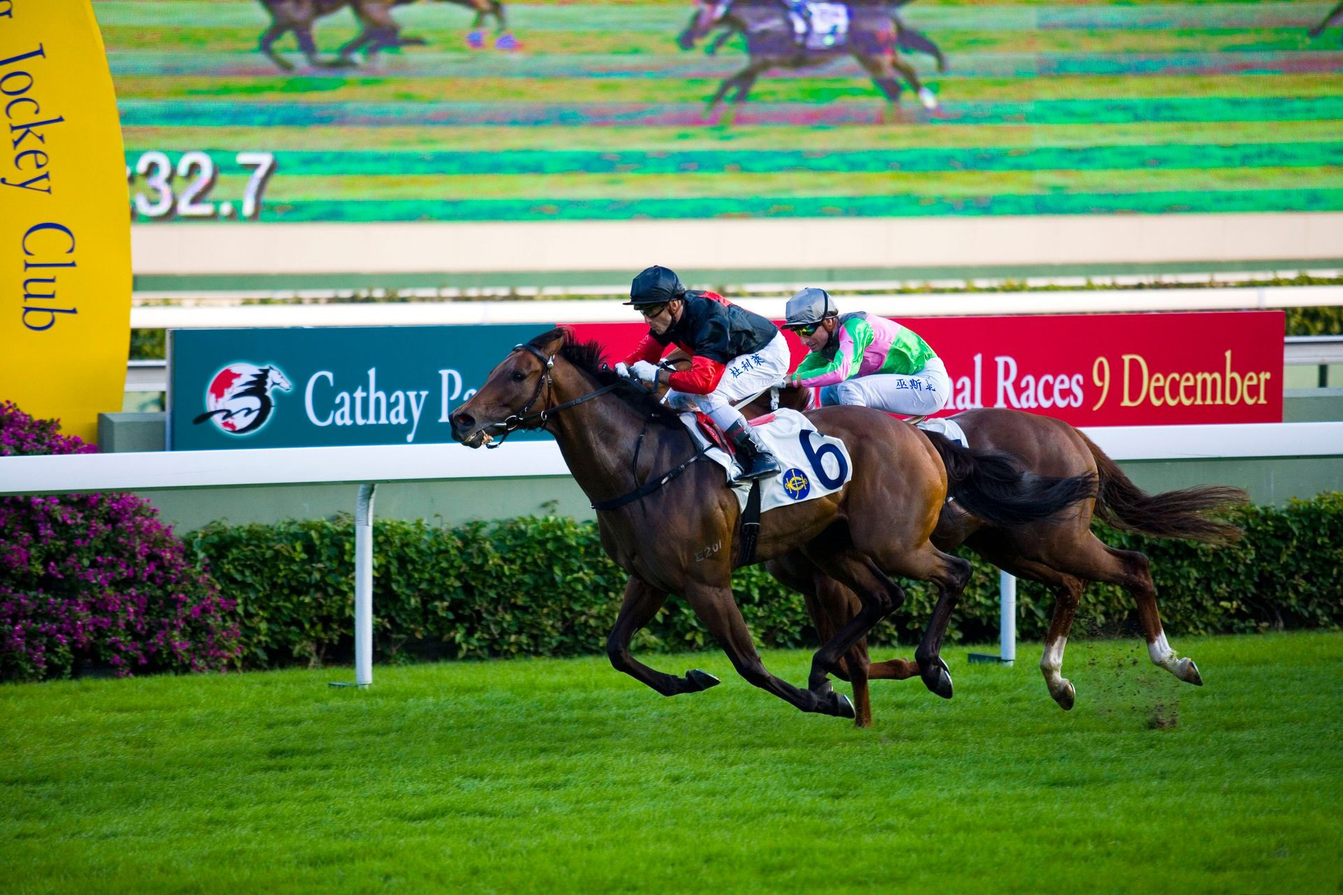Sports Horse Racing HD Wallpaper | Background Image