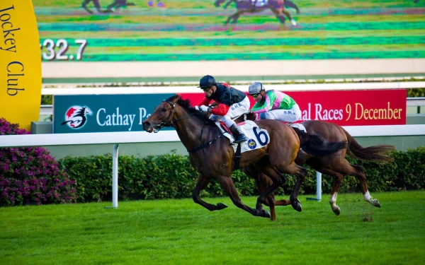 horse racing Sports HD Desktop Wallpaper | Background Image