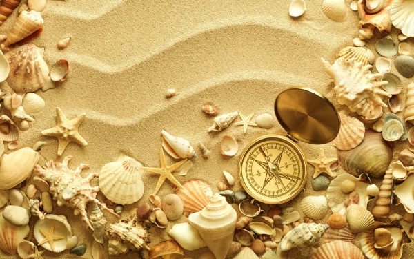 compass nature shell HD Desktop Wallpaper | Background Image