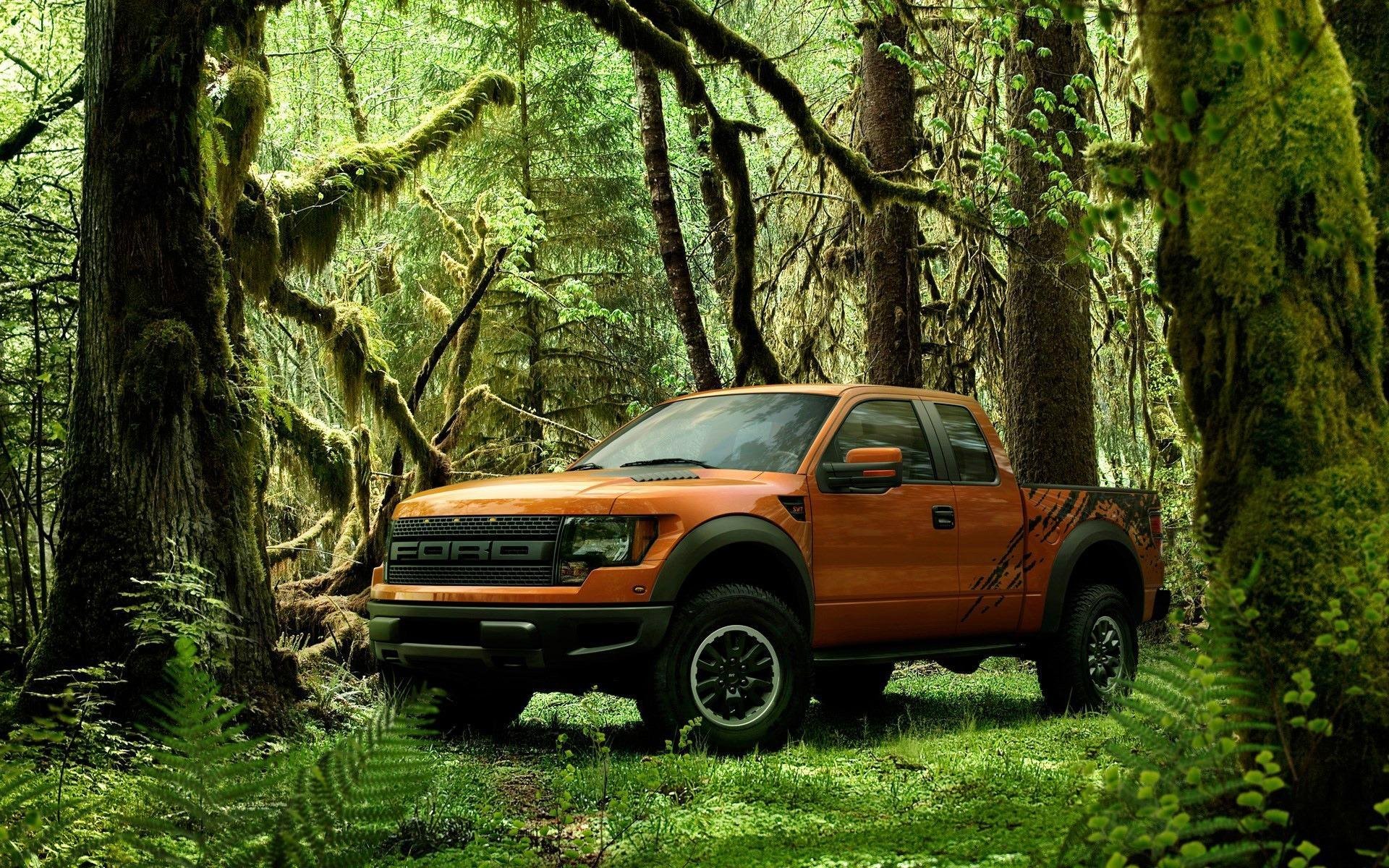 Download Vehicle Ford Raptor HD Wallpaper