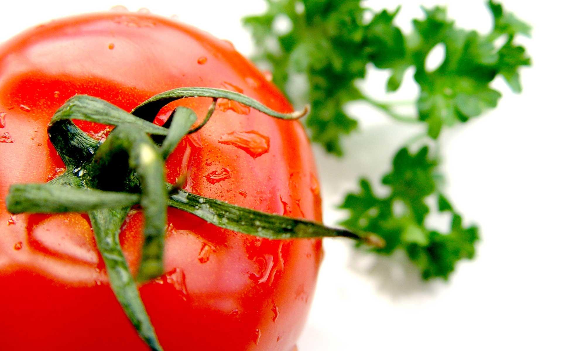 Food Tomato HD Wallpaper | Background Image