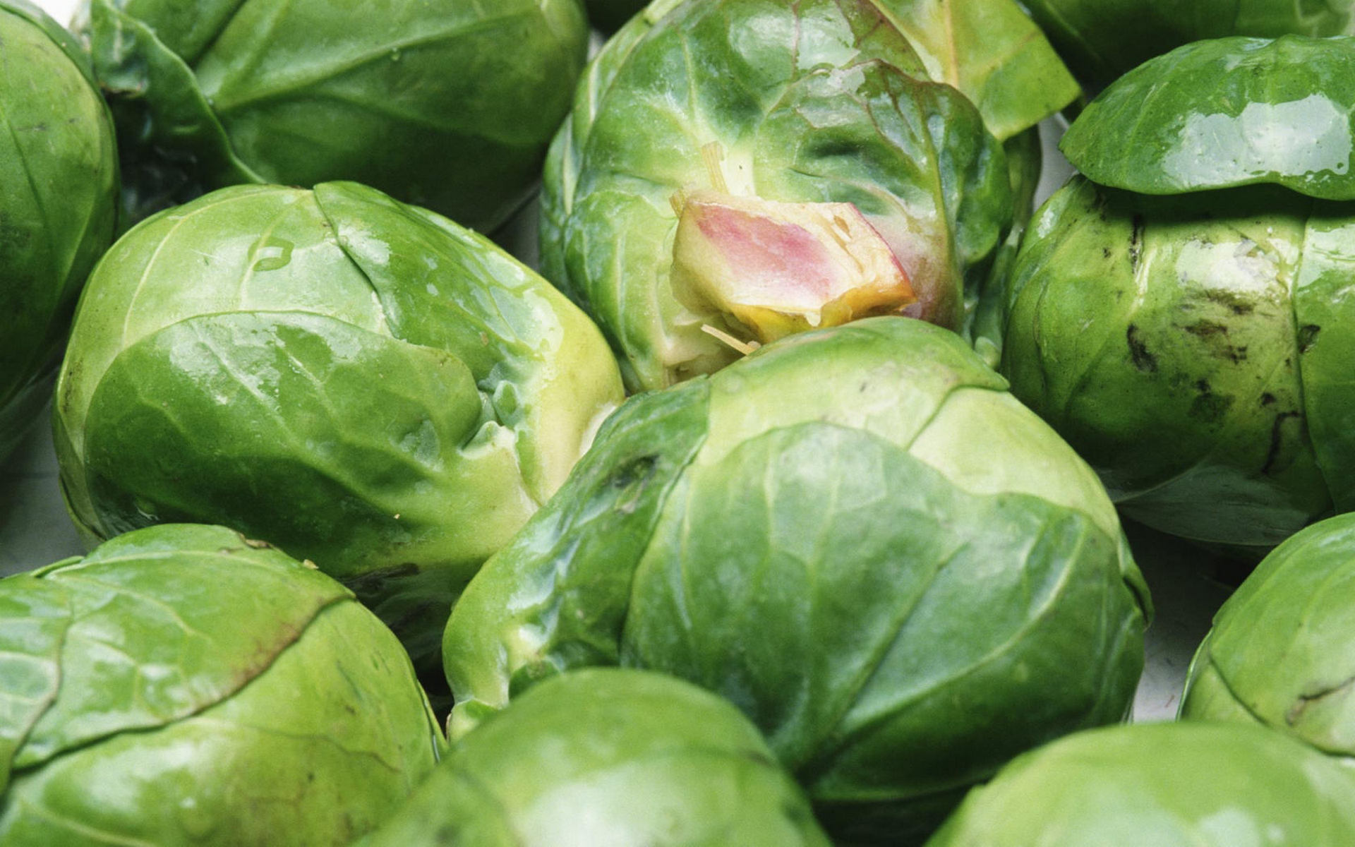 Food Brussel Sprout HD Wallpaper | Background Image