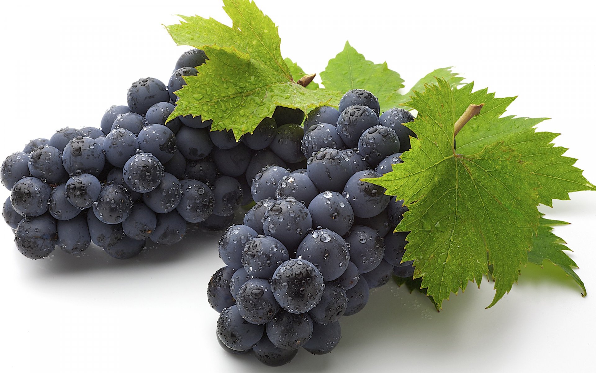A close-up of fresh, dewy black grapes with vibrant green leaves, designed as an HD PC desktop wallpaper and background, highlighting the beauty of nature's bounty.