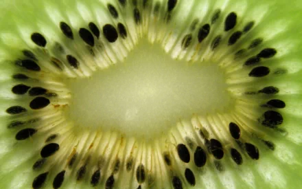 Close-up HD desktop wallpaper of a sliced kiwi, showcasing vibrant green flesh and black seeds in sharp detail.