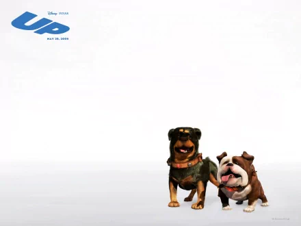 Two animated dogs, Gamma and Beta, from Disney Pixar's movie Up, stand side by side against a simple background, showcasing their playful personalities in this HD wallpaper.