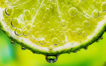 A vibrant close-up of a lime slice with bubbles, set against a bright green background, showcasing the refreshing essence of food and nature in this HD desktop wallpaper.