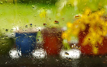 Photography of raindrops on glass with blurred colorful mugs and yellow flowers behind — 2K Quad HD PC desktop wallpaper/background.
