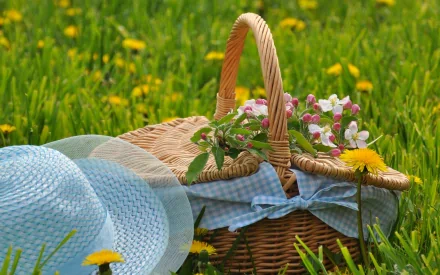 HD still life photography of a wicker picnic basket with flowers and a blue hat on green grass with dandelions, used as a PC desktop wallpaper and background.