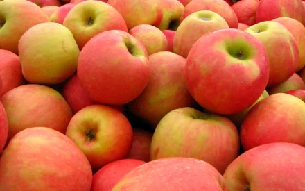 HD PC desktop wallpaper featuring a vibrant close-up of fresh red and green apples.
