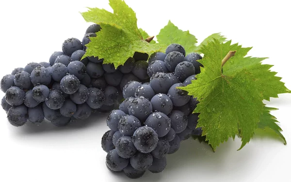 A close-up of fresh, dewy black grapes with vibrant green leaves, designed as an HD PC desktop wallpaper and background, highlighting the beauty of nature's bounty.