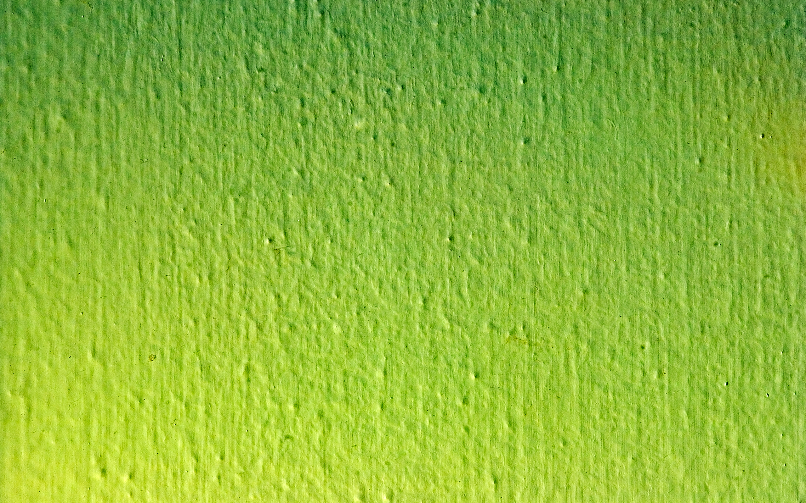 Green Full HD Wallpaper And Background 2560x1600 ID369192