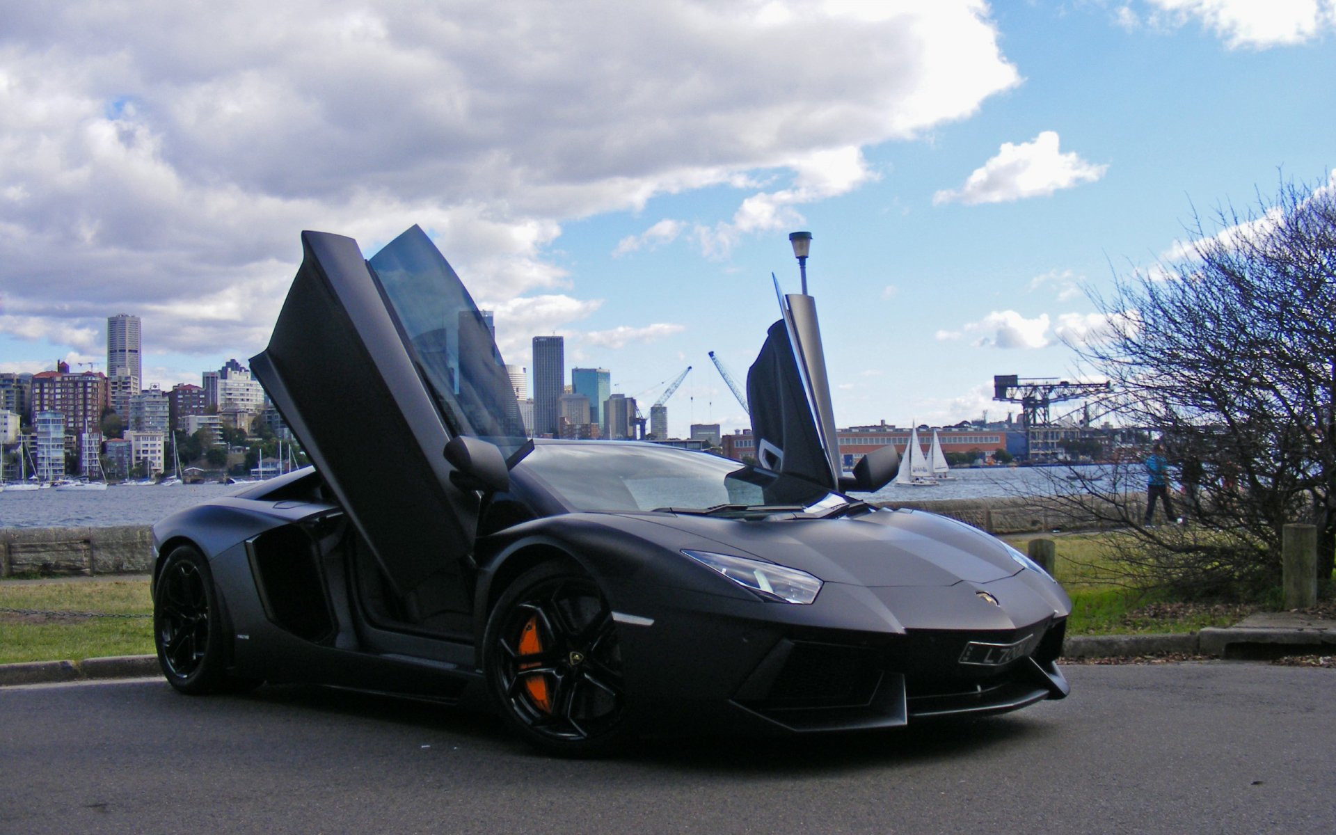 Культ ламбы. Ламборджини авентадор черный. Lamborghini Aventador двери. Ламборгини авентадор заниженная. Ламборгини свджи.