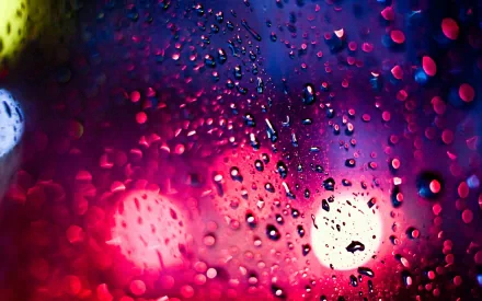 photography raindrops HD Desktop Wallpaper | Background Image