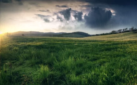 A serene landscape captures the gentle rain falling over lush green fields, set against a dramatic sky, making it a stunning HD desktop wallpaper and background.
