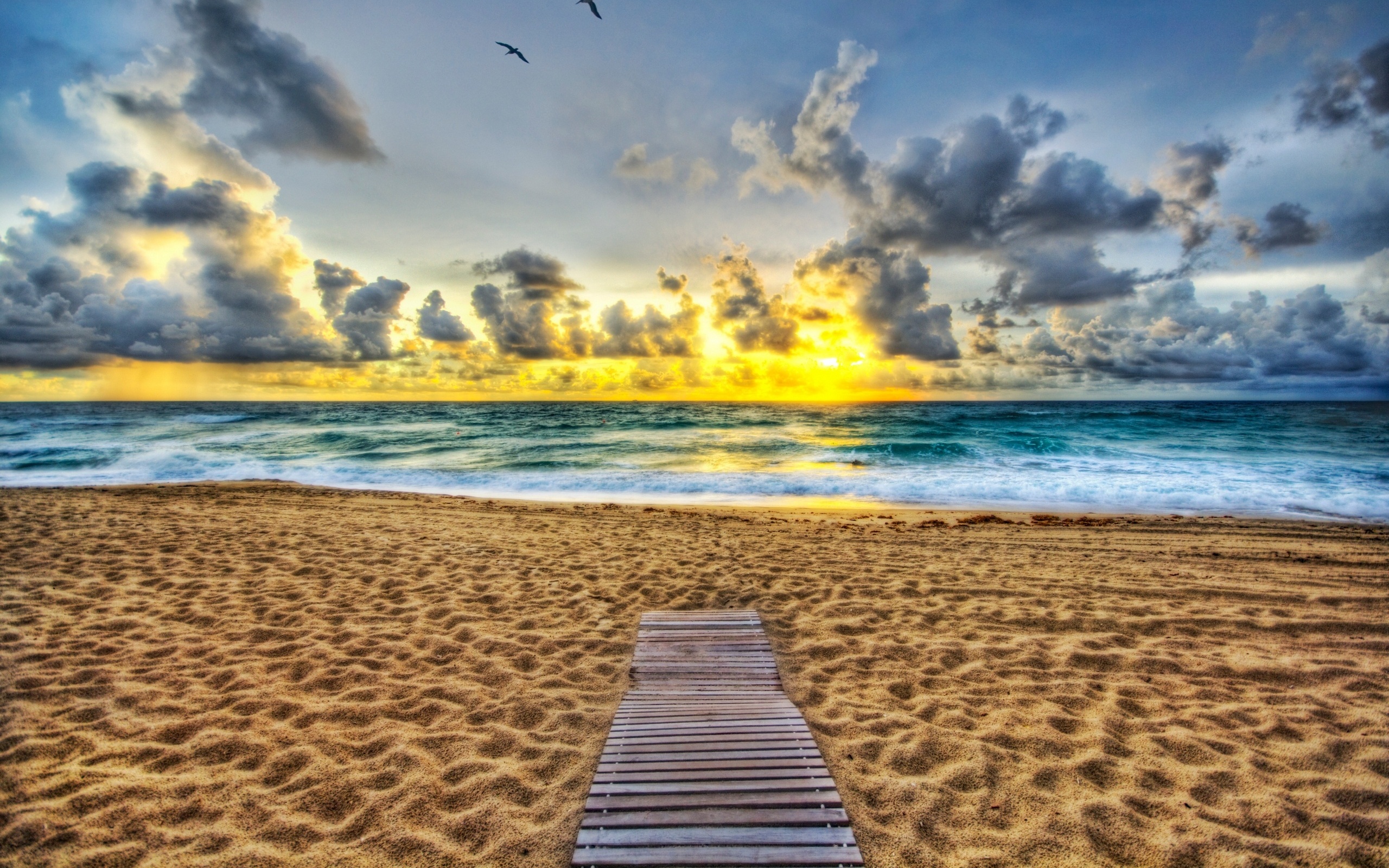 Beach Full HD Wallpaper and Background Image | 2560x1600 | ID:370948
